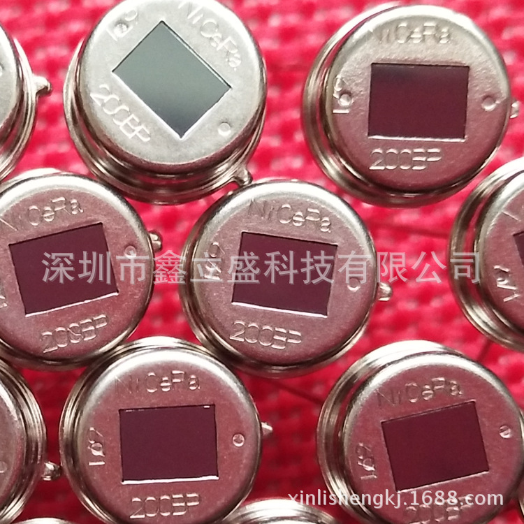 RE200B-P热释电人体红外传感器红外线感应探头尼赛拉原装PIR