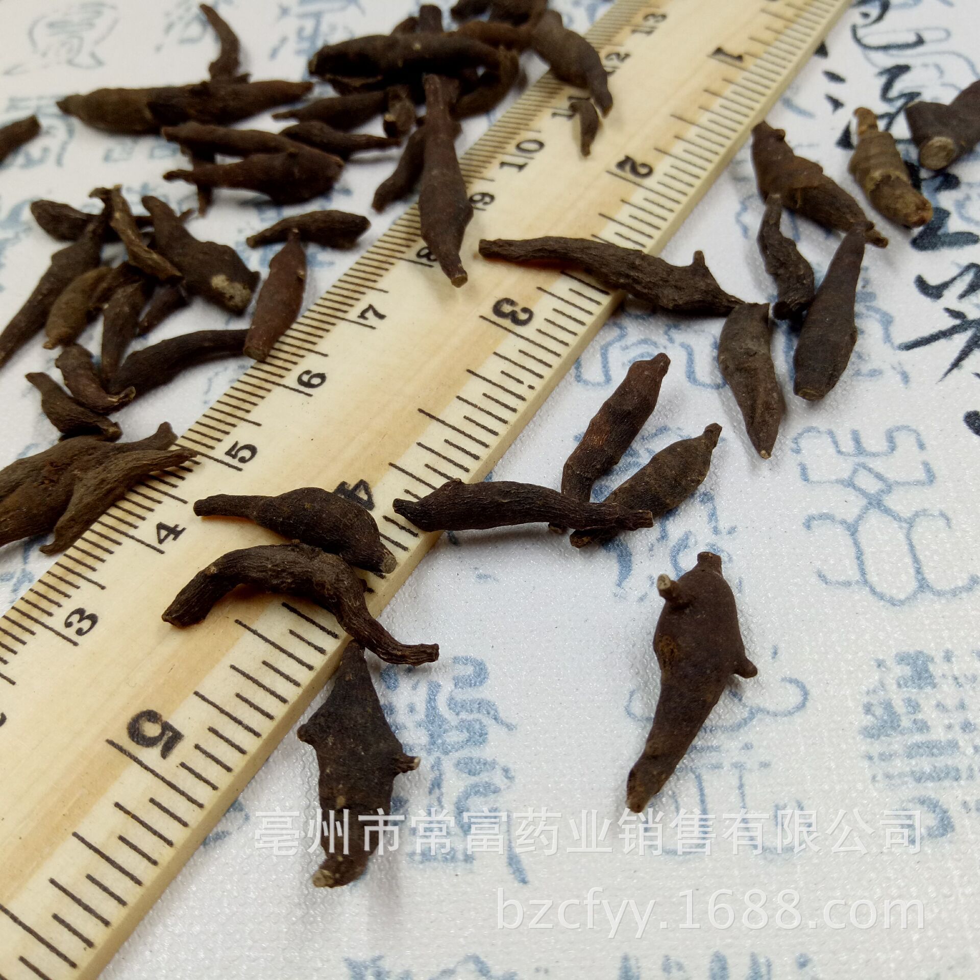 Liang Tou Jian Dried Herb 500g Traditional Chinese Botanical Zhu Jie Xiang Fu Raw Herb specifications