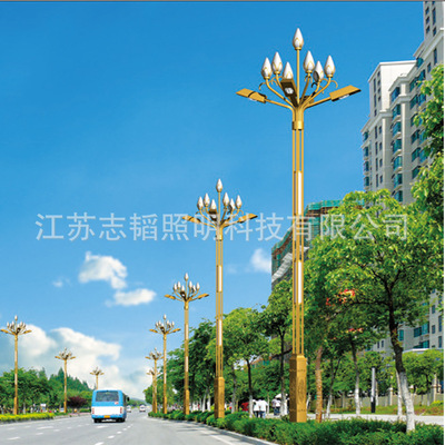 中華燈8-12米 大型景觀燈蓮花組合景觀燈  組合路燈 加工定制路燈