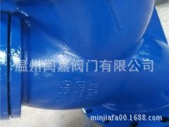 厂家直销 球墨铸铁y型过滤器 大口径过滤器 y型过滤器