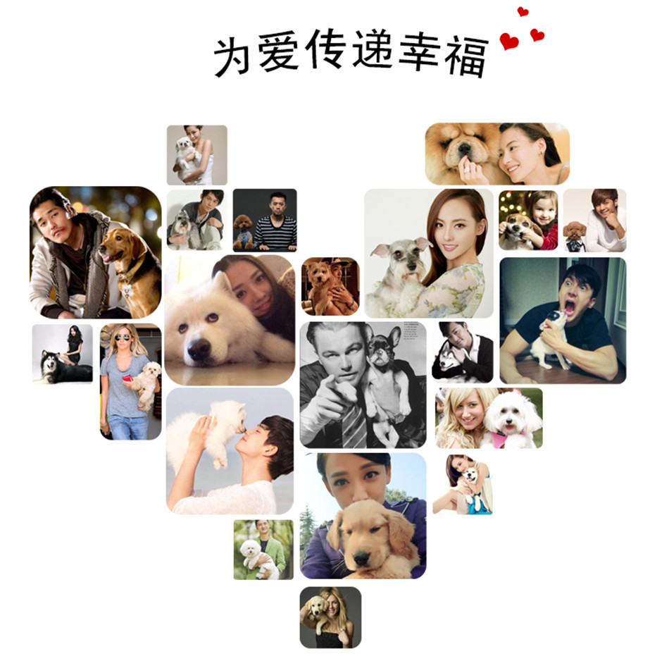 TB29UNrqH8kpuFjy0FcXXaUhpXa_!!