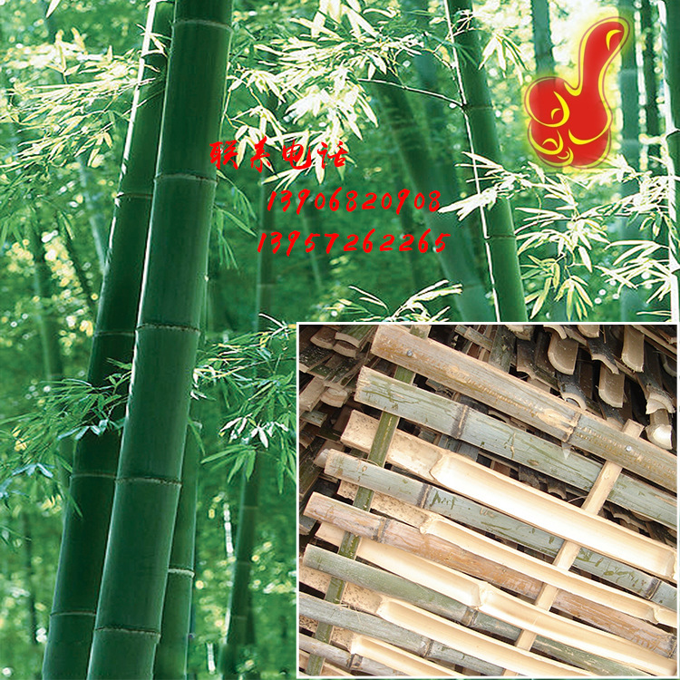 【价格可议 欢迎订购】竹架板施工竹片 竹跳板 脚手片 竹笆片