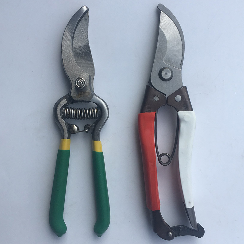 园林工具修枝剪 果枝剪 手动粗枝果树剪