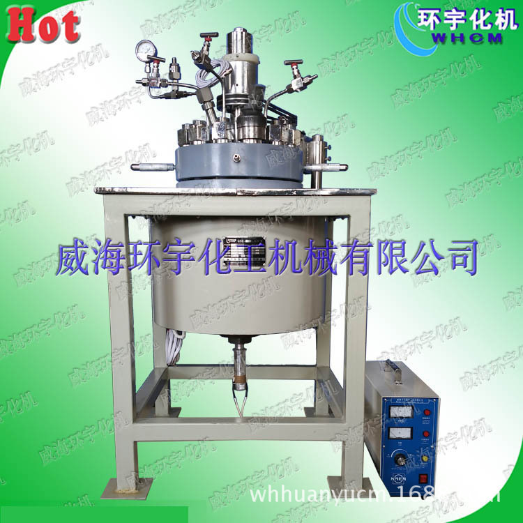60L卧式 双头磁力搅拌反应釜 高压实验室反应釜 威海环宇