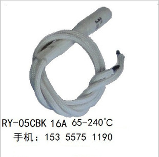 RY-05CBK VDE 16A �ضȱ��U�z�۔��w��