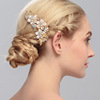 Europe and the United States Jewelry Hot Sale Classic Alloy Rhinestone Headwear Enamel Flower Crystal Comb Wedding Dress