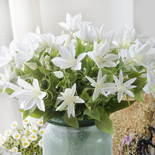 �S��ֱ�N�Wʽ�������l�����F��ɏ�� �Ҿ��bٻ���c��Ʒ