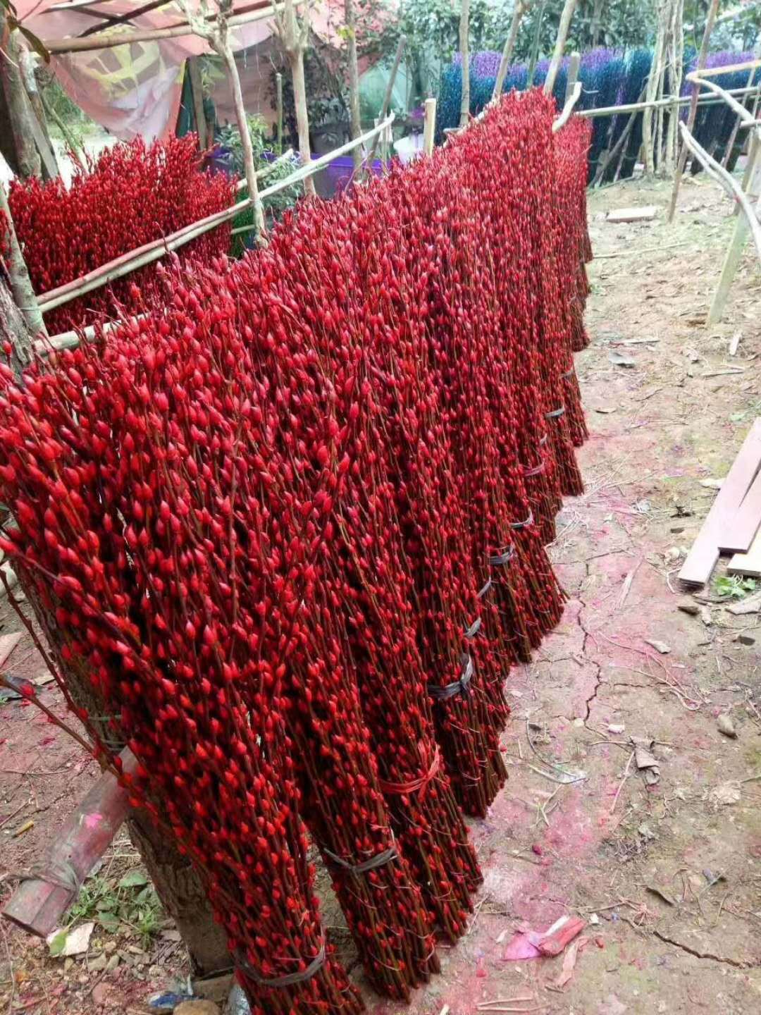 寰俊鍥剧墖_20171108153604