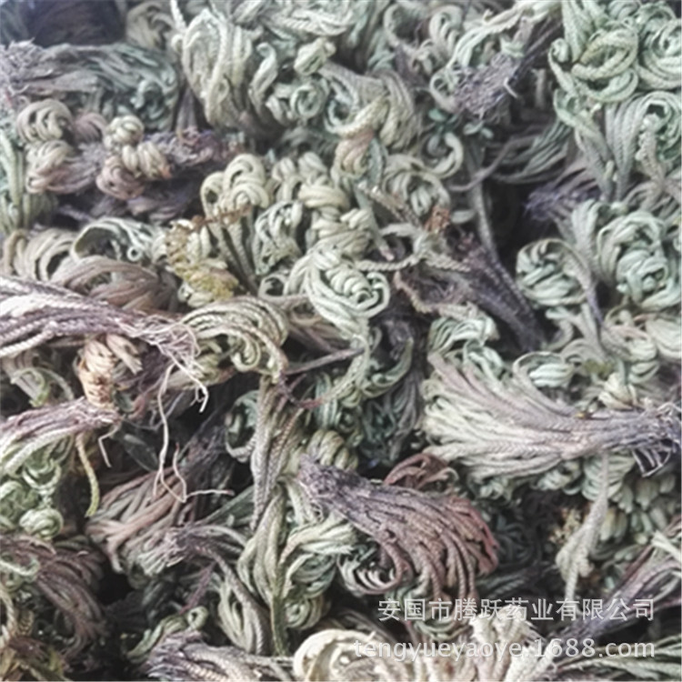 Dried Selaginella Juan Bai Whole Herb 1kg Traditional TCM Botanical Resurrection Grass quality and texture