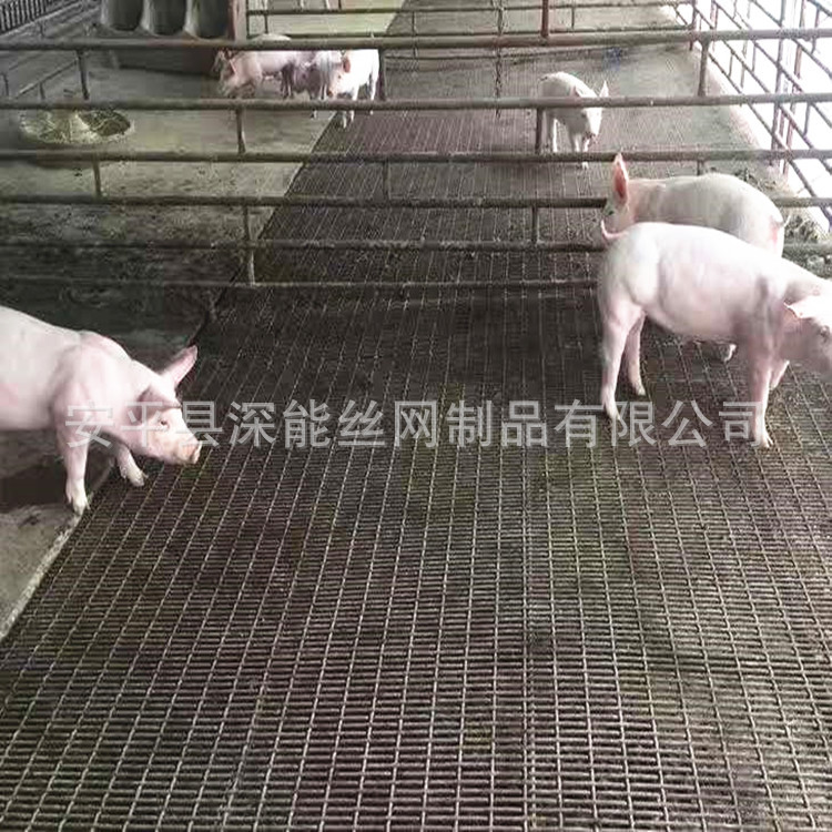 专业定做猪床网  养猪轧花网 标准规格 500丝 1*5cm  1.5*5cm