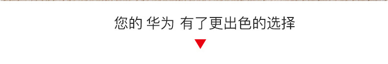 mate10pro手机壳_04