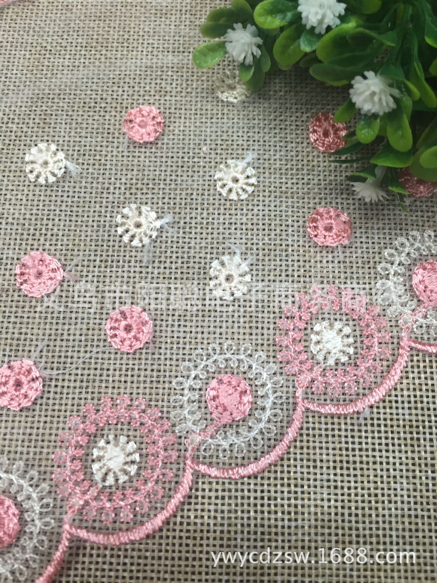 圈圈花双色西红4