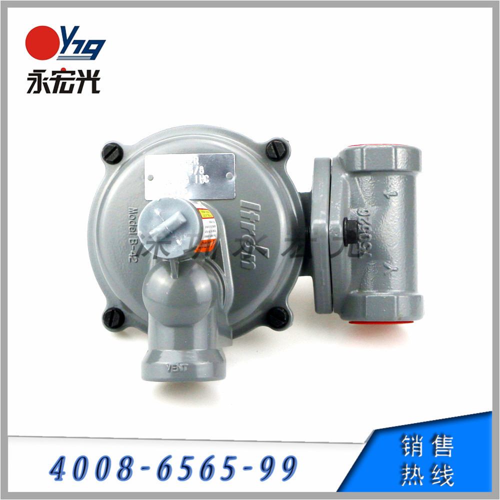 供应美国Itron燃气调压器B42R