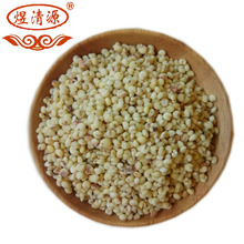 批发熟高粱米 低温烘焙高粱米 高粱米 现磨豆浆原料