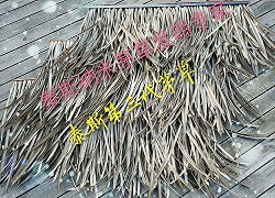 其他景观材料;特种建材;木塑材料