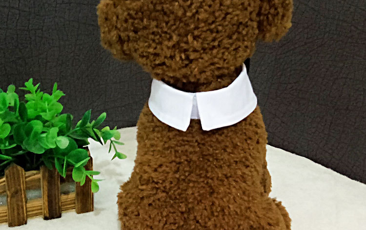 Pet Bow Tie Fashion
