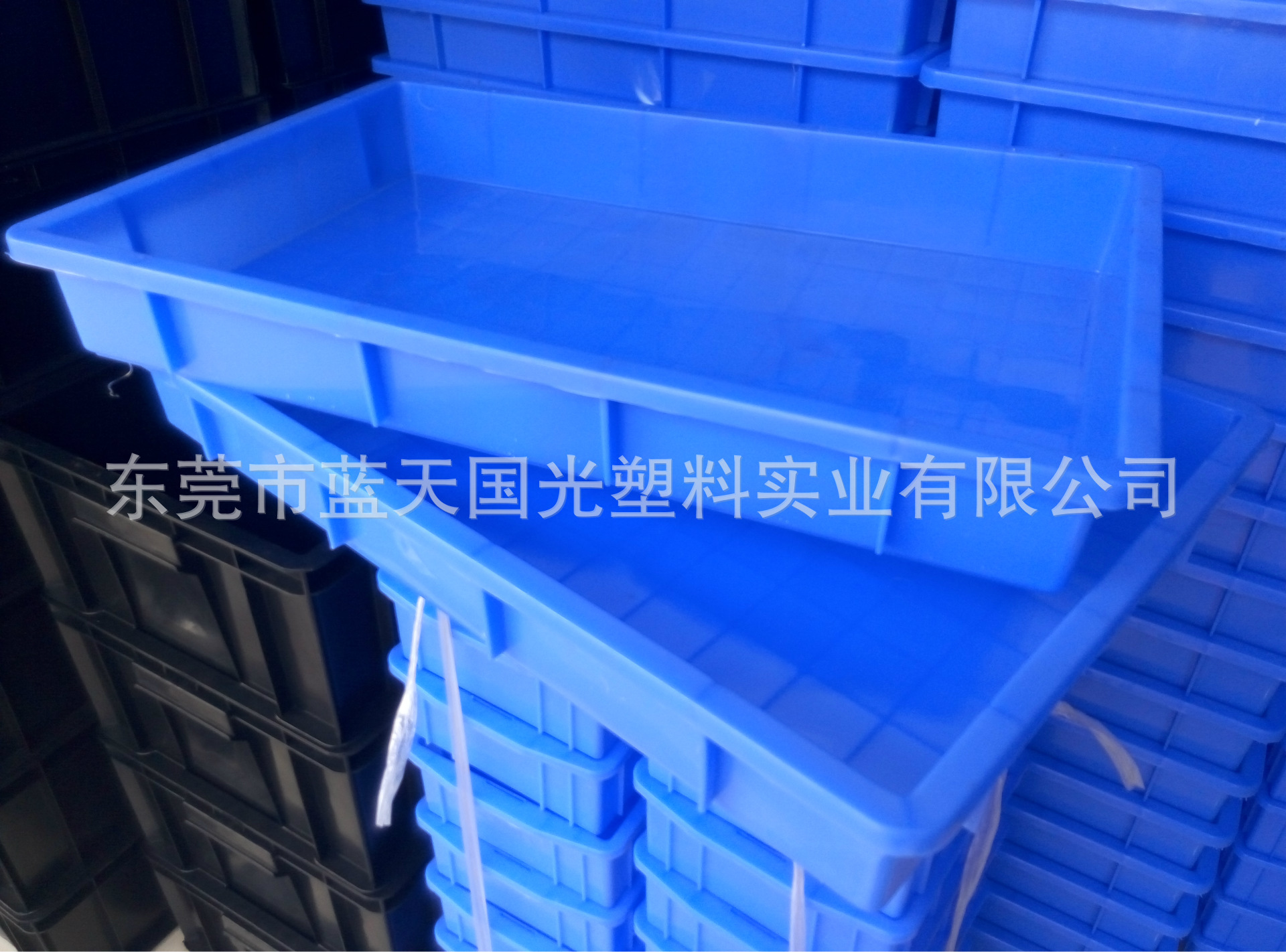 供应深圳宝安 加厚5#方盘周转箱 蓝色塑料浅盘 冷冻盘