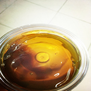 �S�����a �¸��X݆��߼���©����֬�߼��S�� �|���ɿ� �F؛