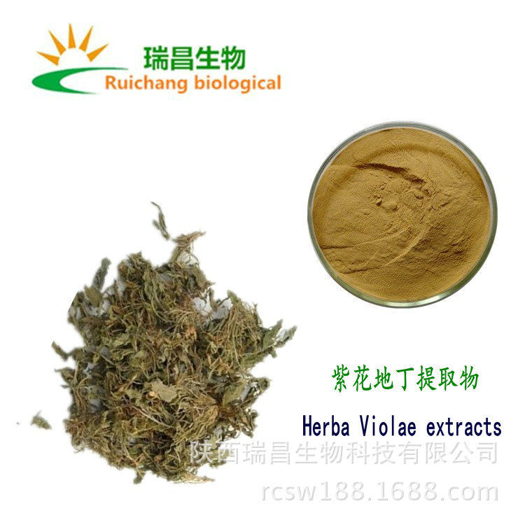 紫花地丁提取物10:1 瑞昌生物 紫花地丁粉 箭头草提取物 厂家现货