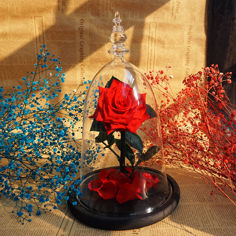 美女與野獸永生花玻璃罩保鮮花微景觀玻璃花瓶情人節禮品廠家批發