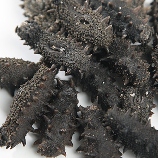 ���������}������ɴ��^�̅� �}�n��n���� һ��؛Դ