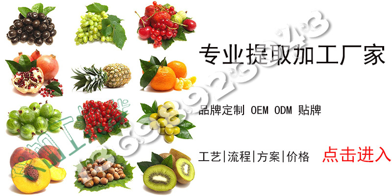 baidu-tel-13698923043