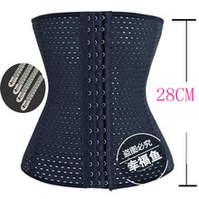 ebay���� ͸���ո����ο����ſ۷������������ֹ�����������28cm