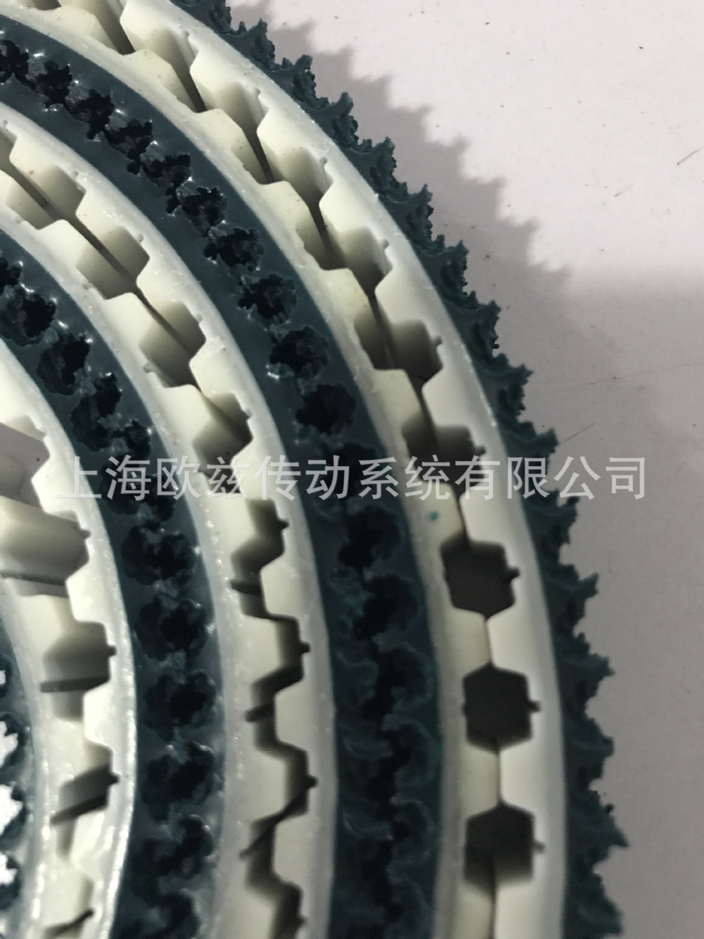 同步带草纹带T10IMG_2324