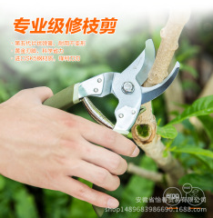 Woshi Pruning Shears 8-inch SK5 Steel Flower Branch Pruner Fruit Branch Scissors for Flower Trees and Potted Plants Garden Pruning Shears