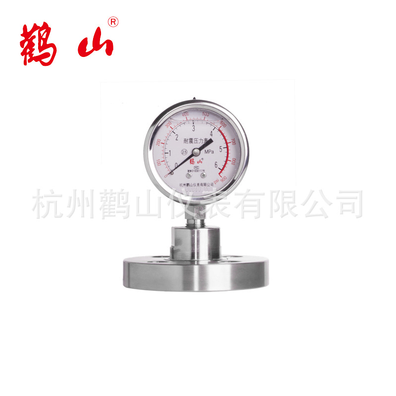 YN63BF-MF 不锈钢隔膜压力表 法兰连接 不锈钢304