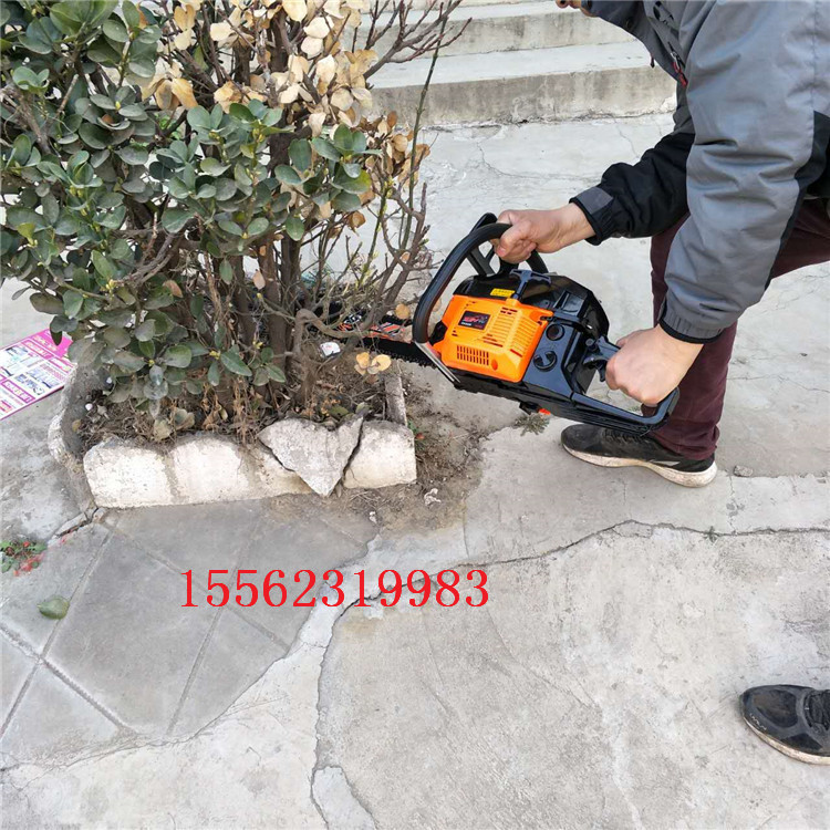 易启动电锯砍树锯 伐木园林锯油锯机 小型手提式油锯图片