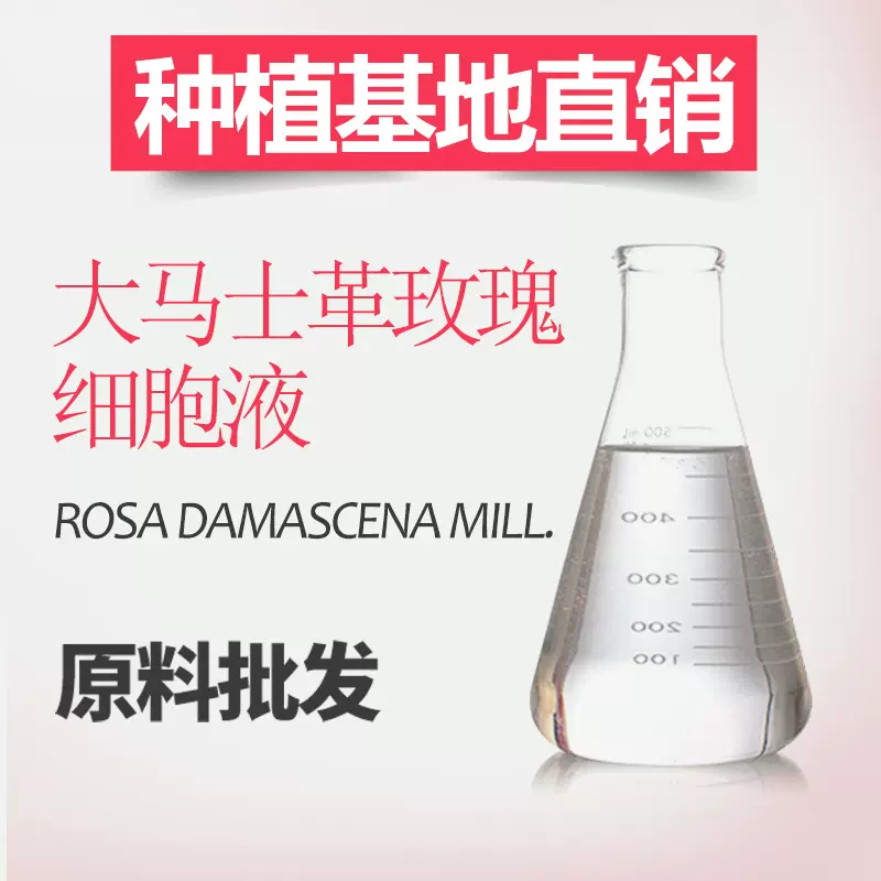 加工定制 大马士革玫瑰细胞液  低温工艺萃取 玫瑰鲜活水