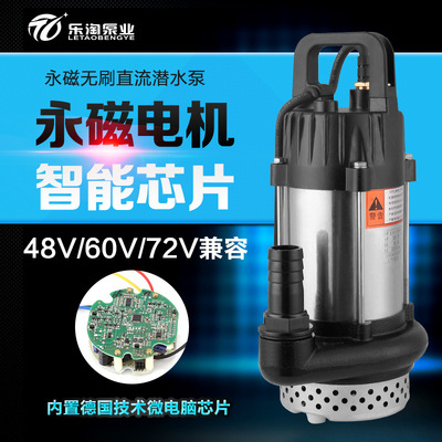 樂淘無刷直流潛水泵1寸2寸3寸直流泵48V60V電動車電瓶車抽水泵