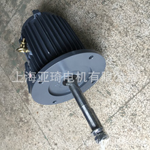 AEVP-NV-3.7KW-5HP-10极电机|冷却塔电机|防水电机