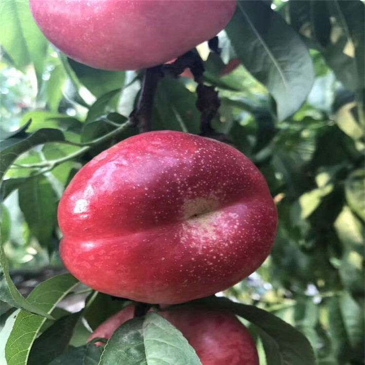 QQ图片20170802221041