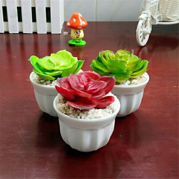 Простые белые керамические горшки для суккулентов настольные оптом от производителя