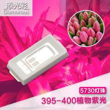 5730灯珠5730ledUV紫灭蚊美容灯珠390-400nm植物灯灯珠深圳工厂