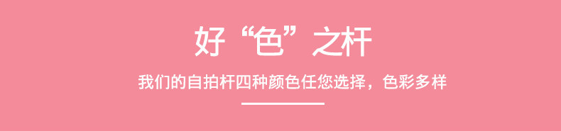 Bâton selfie en Acier inoxydable - Ref 3386145 Image 24