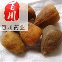 ľ�z�^ ���Z�� ���|  Ʒ�|���� 15��o�l���˓Q