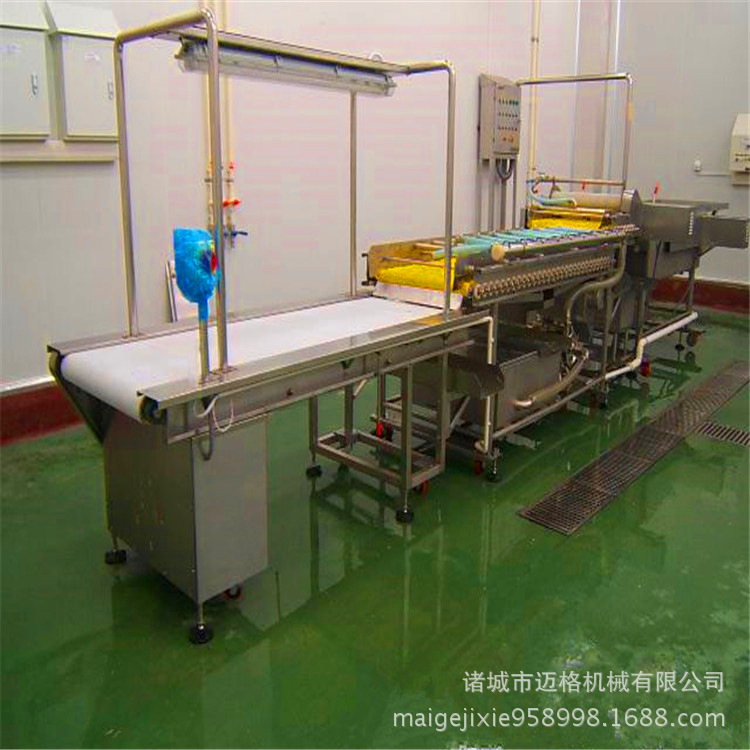 罗汉果加工流水线8