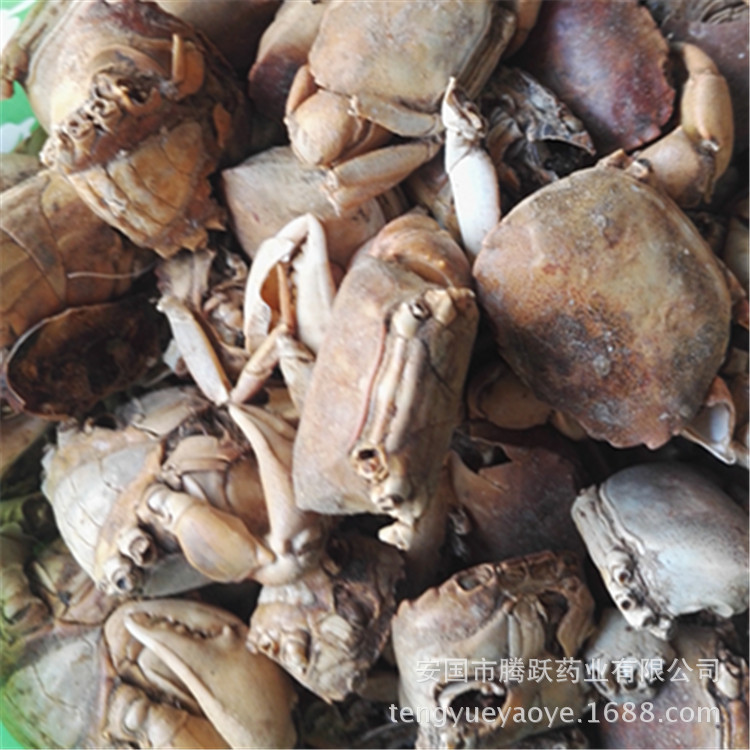 Fang Hai Crab Shell Dried Seafood Herb Traditional TCM Ingredient Wholesale Bulk quality and texture