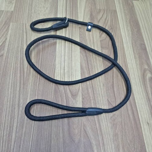 P Rope Dog Leash Small and Medium Dogs Teddy Golden Retriever Collar Walking Dog Training Nylon Pet Leash