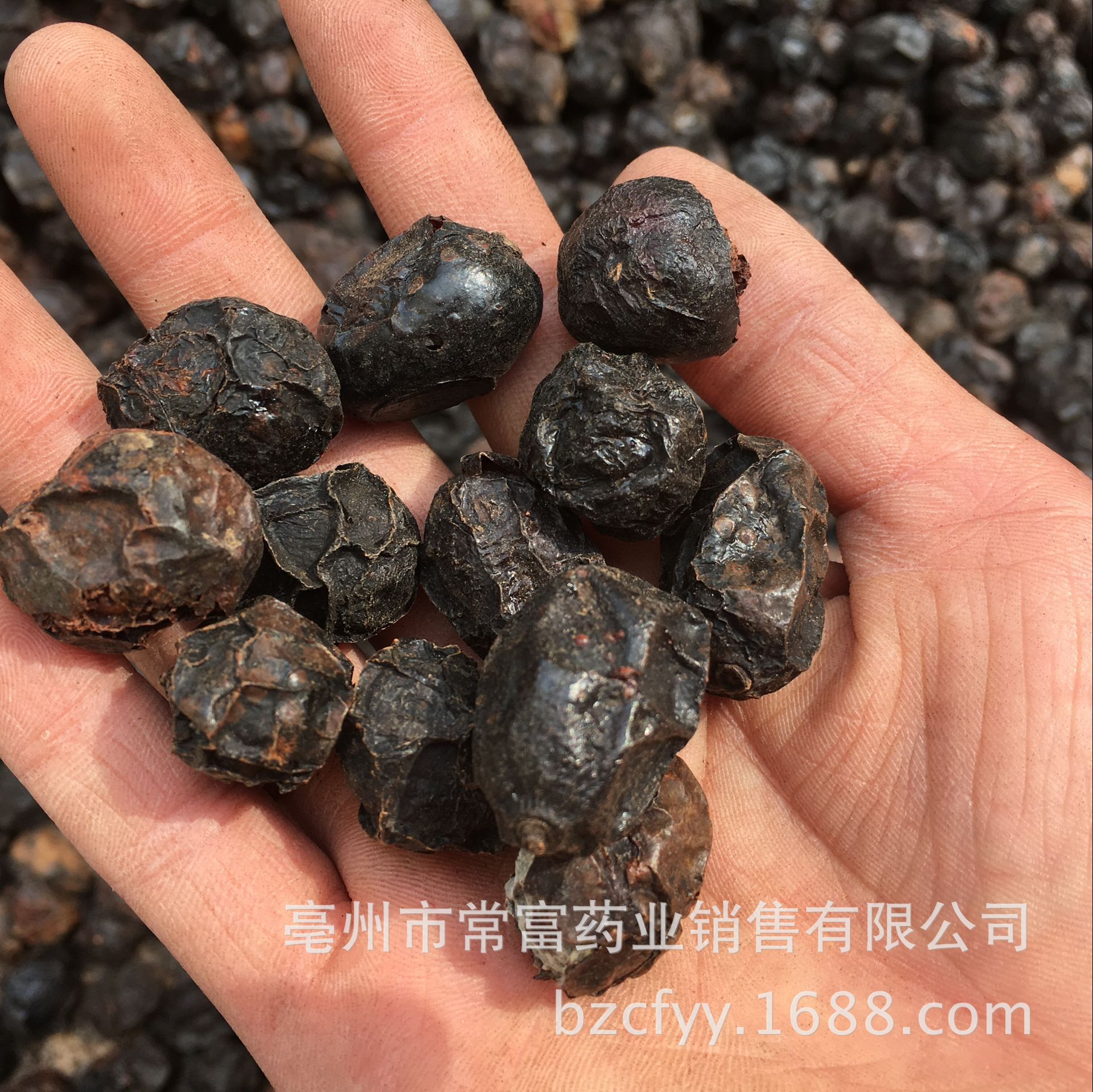 Guang Zao Dried Suan Zao Fruit 500g Traditional Chinese Herbal Ingredient for Cooking and Decoction specifications