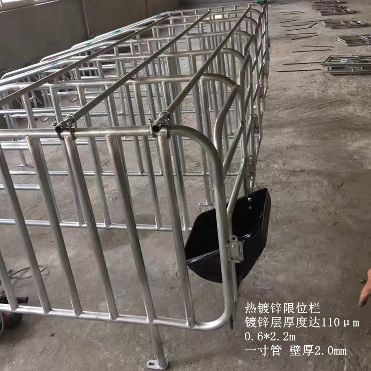 沧州厂家母猪定位栏 母猪猪用定位栏 母猪限位栏 猪自动供料系统
