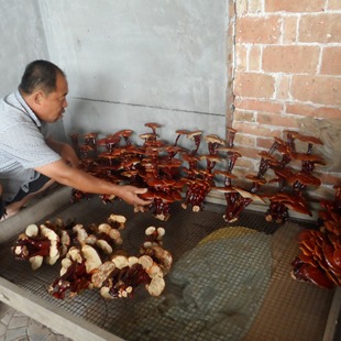 �`֥�����`֥���� �`֥�辰  ���N��ʽ