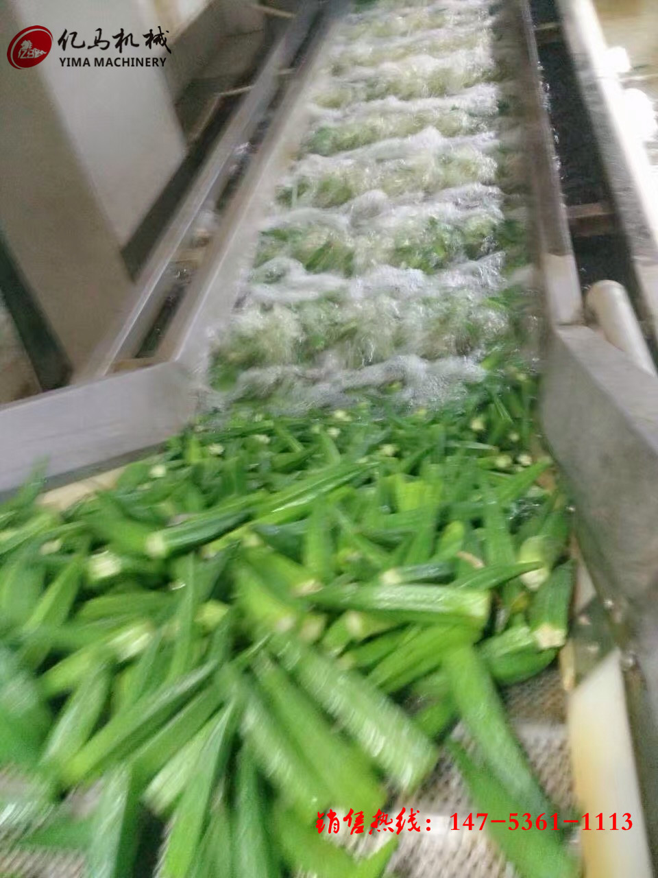 菠菜清洗机 不损坏菠菜表面 泥沙清洗干净 速冻时令蔬菜清洗机