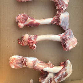 乌拉圭344羔羊后腿骨 羊蝎子店棒骨店可用 吃肉吸骨髓 大量批发