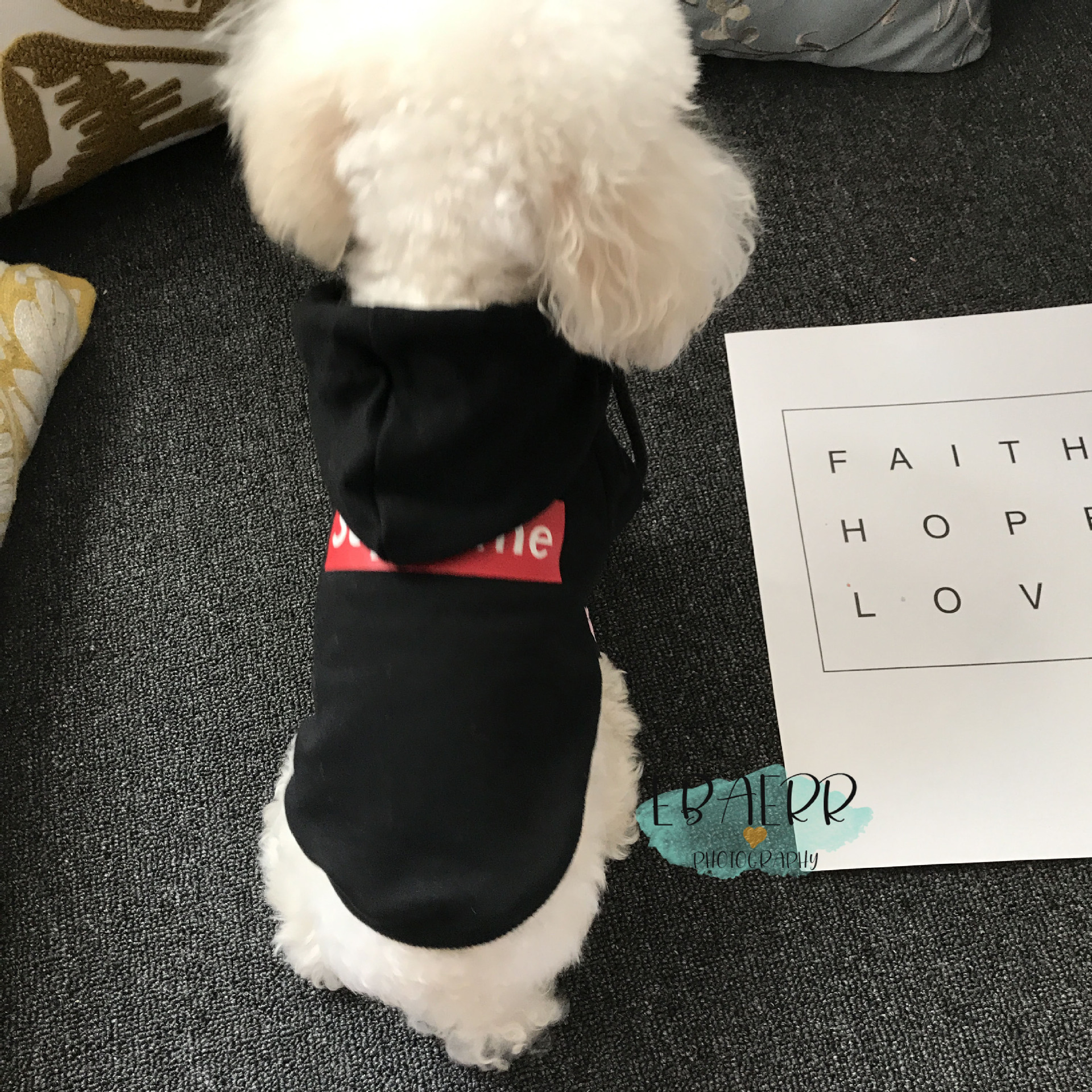 Pet Hoodie Image 6