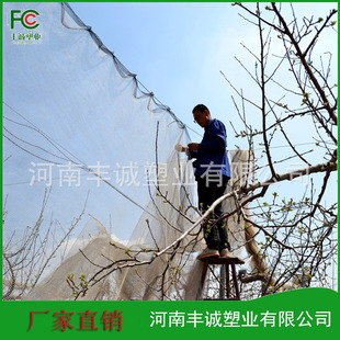 ������������W ������C���ϻ������W���љ���pe���B�W