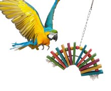 鹦鹉玩具鸟玩具 彩色木块咬串 虎皮小太阳玄凤适用